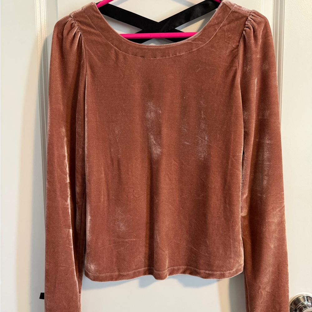 Anthropologie Velvet Long Sleeve Top in Mauve